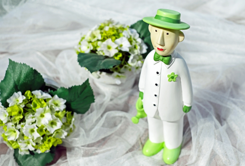 vitrine-VILLENEUVE LOUBET-min_man-person-flower-green-toy-fig-546529-pxhere.com